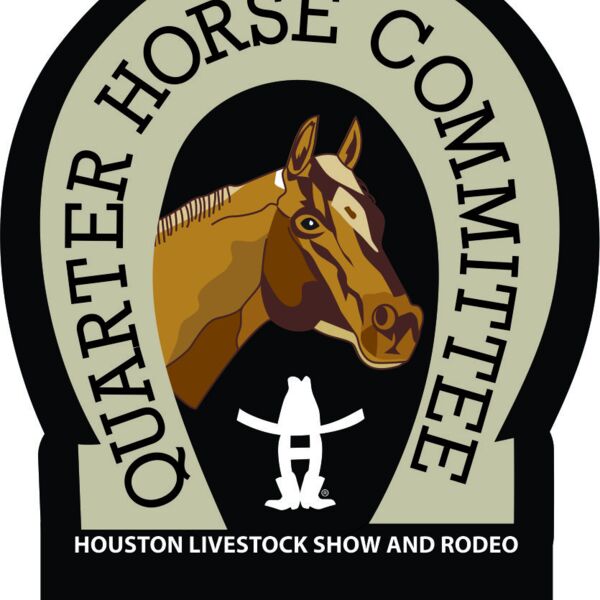 QUARTER HORSE PIN Thumbnail